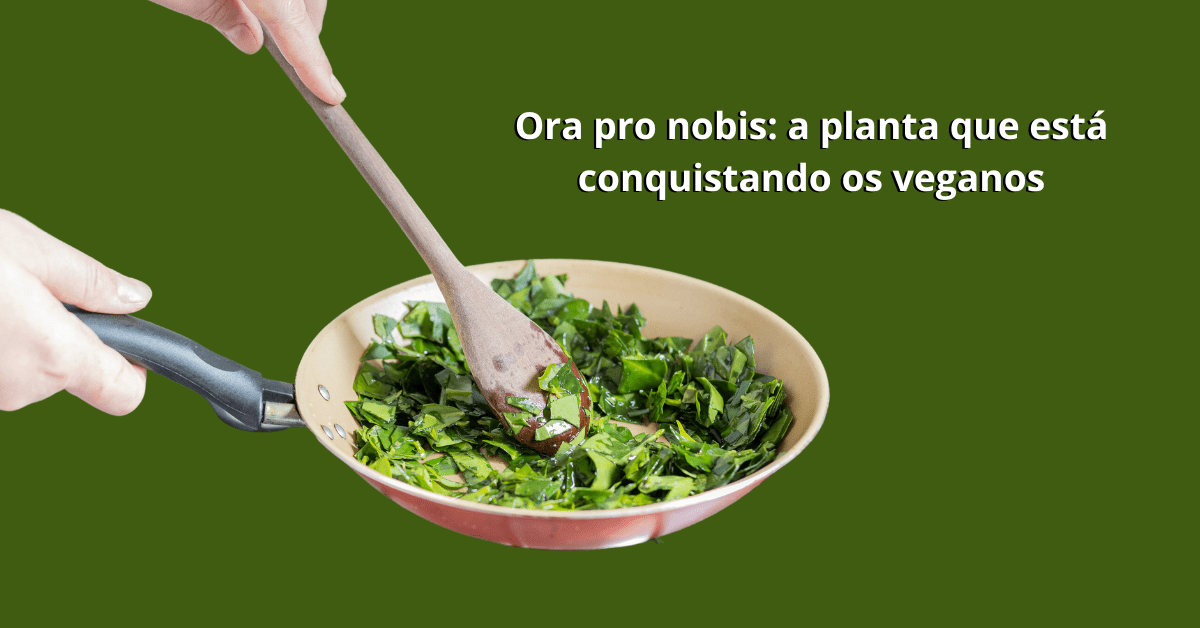 Ora pro nobis a planta que está conquistando os veganos